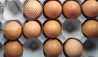 get the protein power from healthy eggs