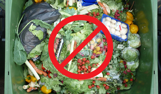 don't waste food