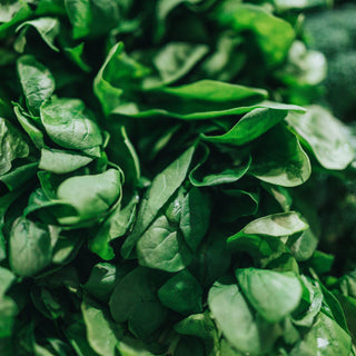 How Can I Increase Iron In My Diet?