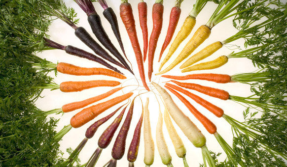 10 Beneficial Foods for the Skin