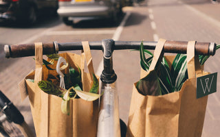 A Beginner’s Guide to Living More Sustainably