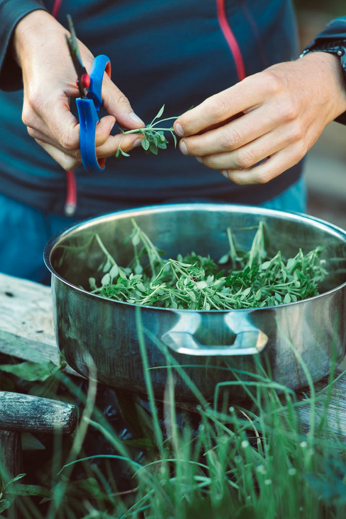 The Word on Herbs