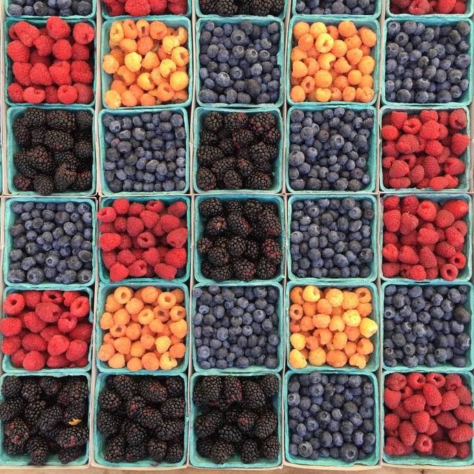 The Power of Anti-Oxidants